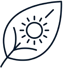 Leaf with sun icon.