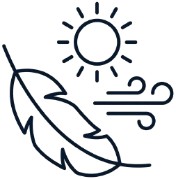 Sun wind feather icon.